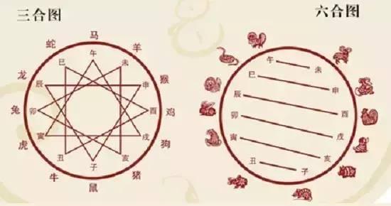 寅亥六合地支中，主大夫大鸡狗升。打一生肖，构建解答解释落实_awj20.65.62