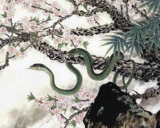 歌声清脆态婆娑,艳丽妖烧迷惑人打一最佳准确生肖，综合解答解释落实_9t82.94.27